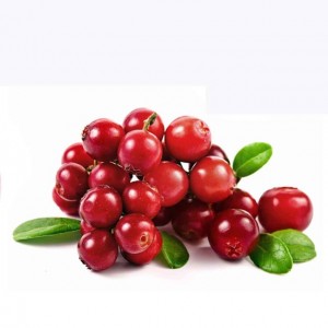 Wild-Cranberry-Vaccinium-Macrocarpon-Bearberry-Fruit-Seeds-Professional-Pack-50-Seeds-Pack-Tasty-Great-Garden-Plant-jpg-640x640-105